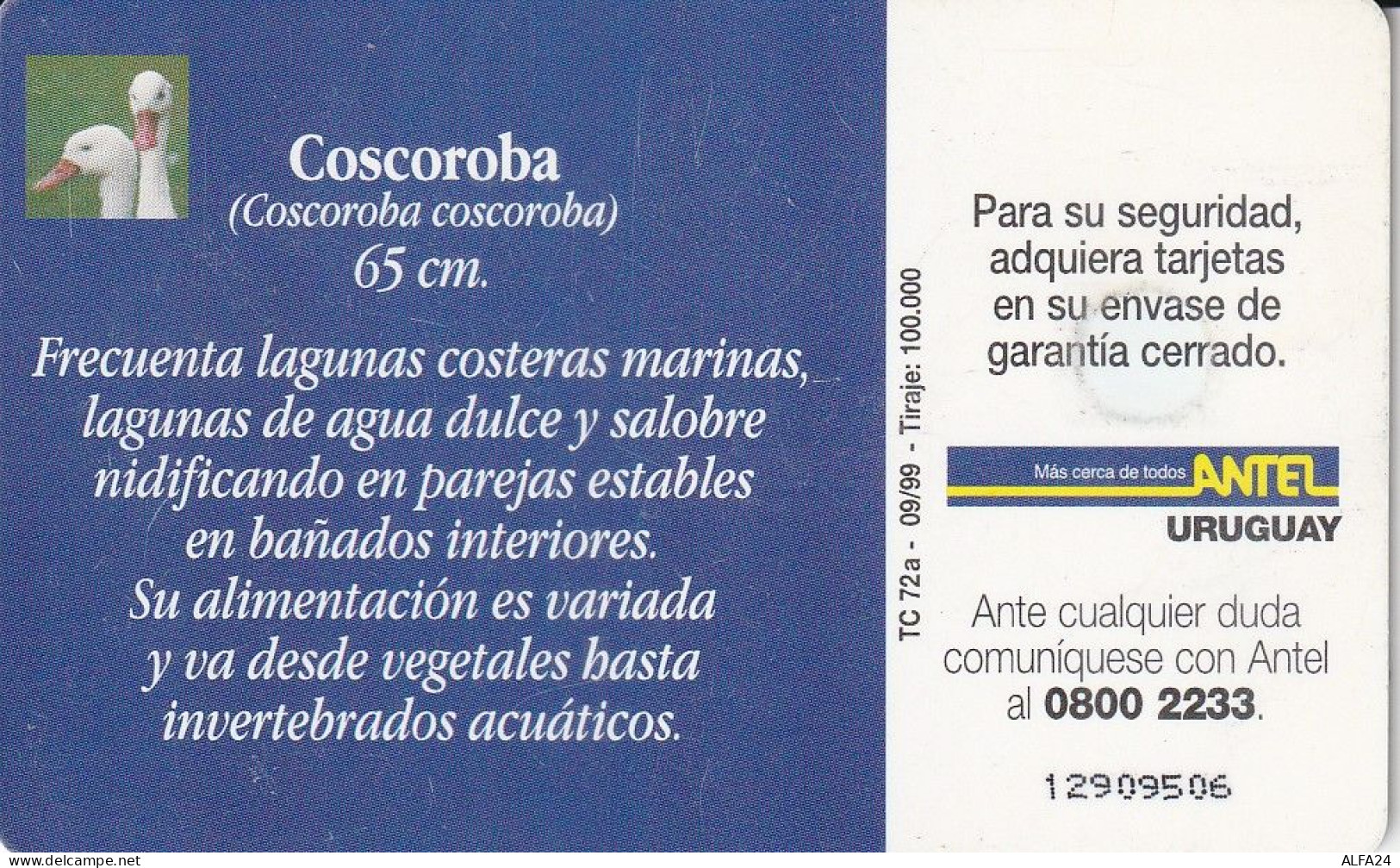 PHONE CARD URUGUAY  (E2.19.2 - Uruguay