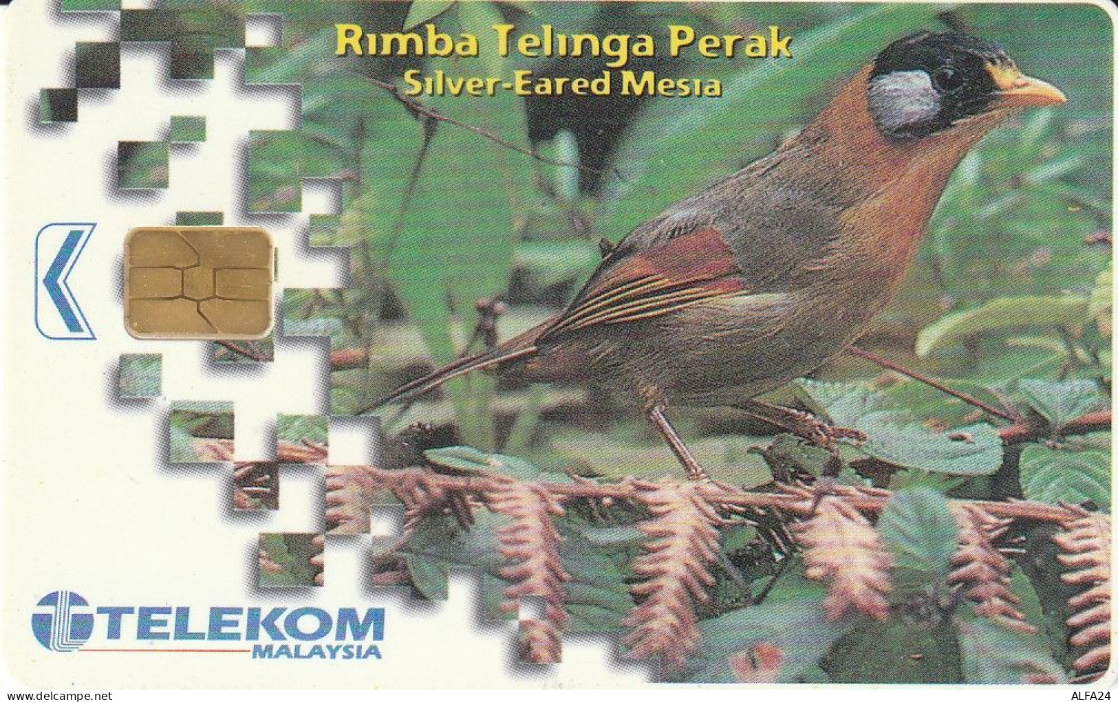 PHONE CARD MALESIA  (E2.8.2 - Malaysia