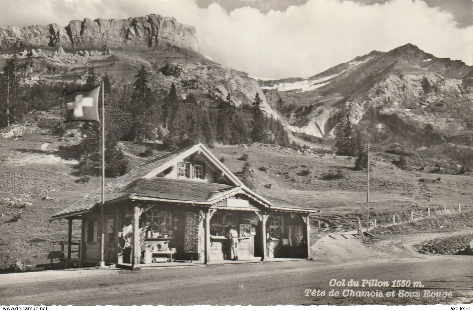 Baulmes Vaud Suisse  (9775) Col Du Pillon 1550 M, Tête De Chamois Et Scex Rouge - Baulmes