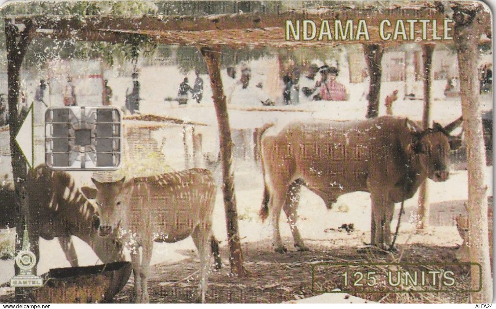 PHONE CARD GAMBIA  (E1.18.3 - Gambie