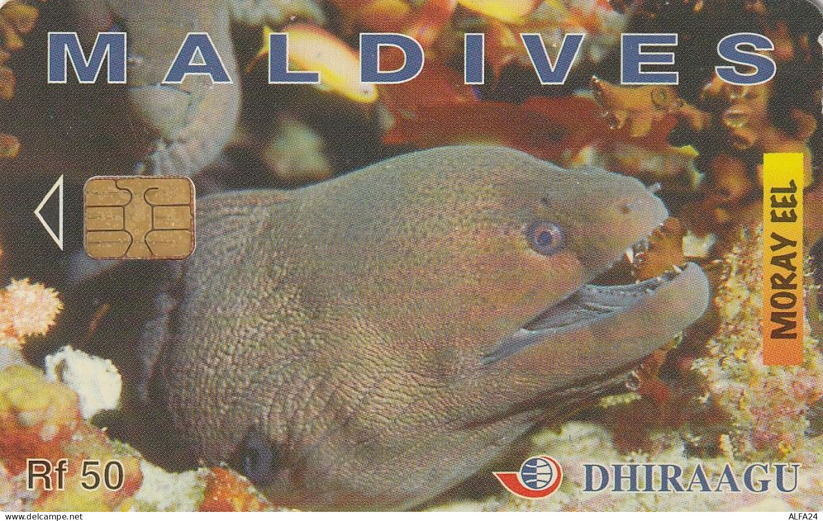 PHONE CARD MALDIVE  (E1.17.6 - Maldiven