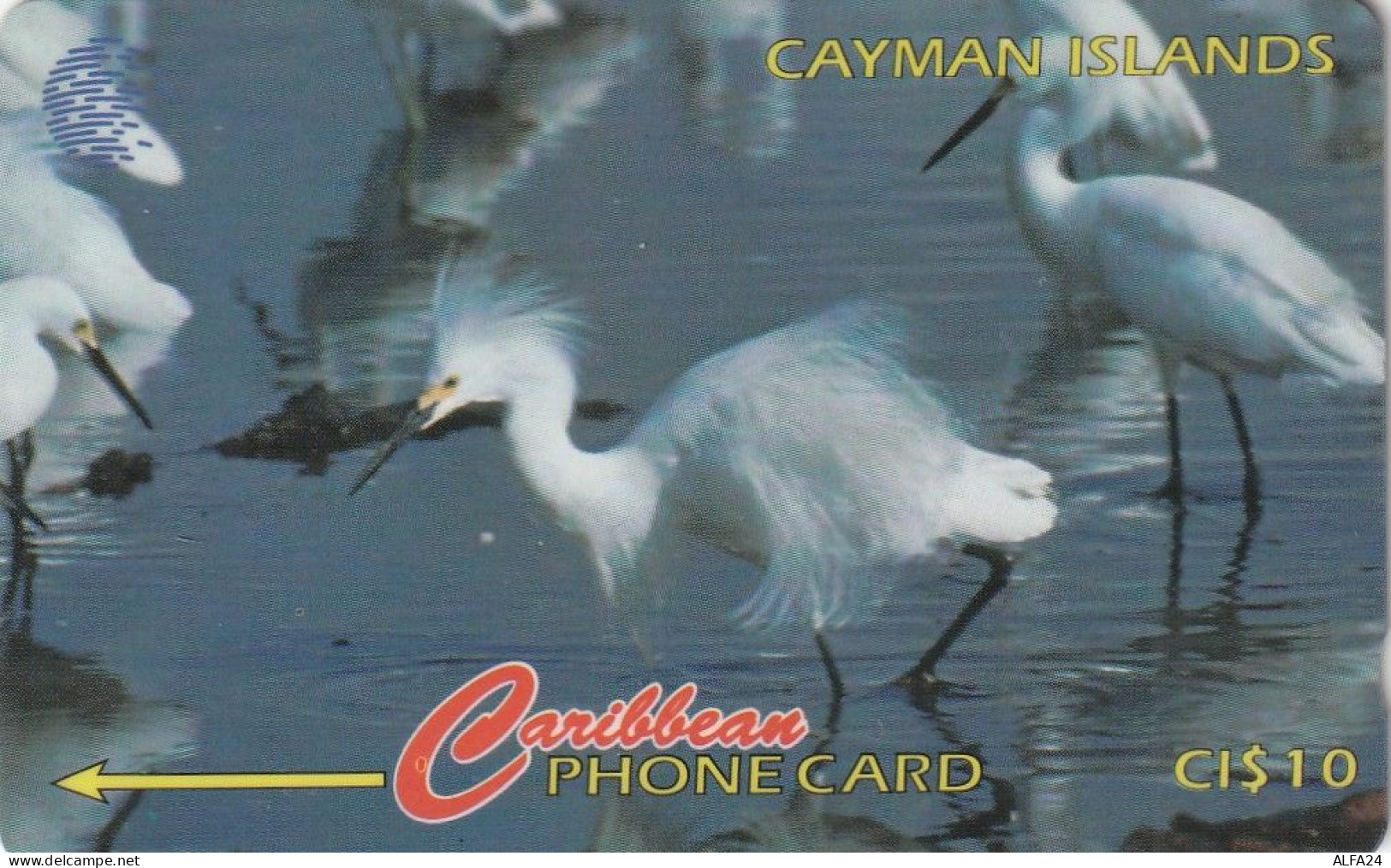 PHONE CARD CAYMAN ISLAND  (E1.13.7 - Isole Caiman