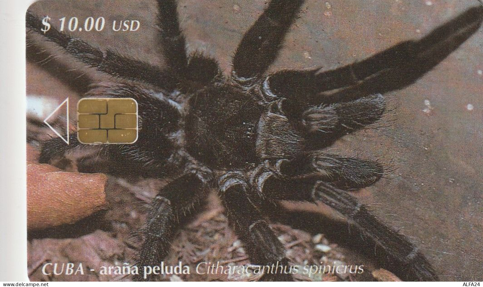 PHONE CARD CUBA  (E1.14.7 - Kuba