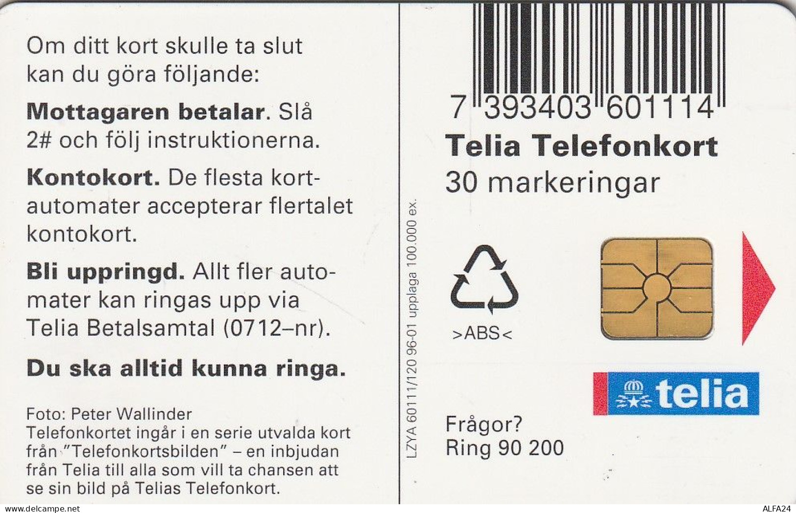 PHONE CARD SVEZIA  (E1.10.1 - Schweden