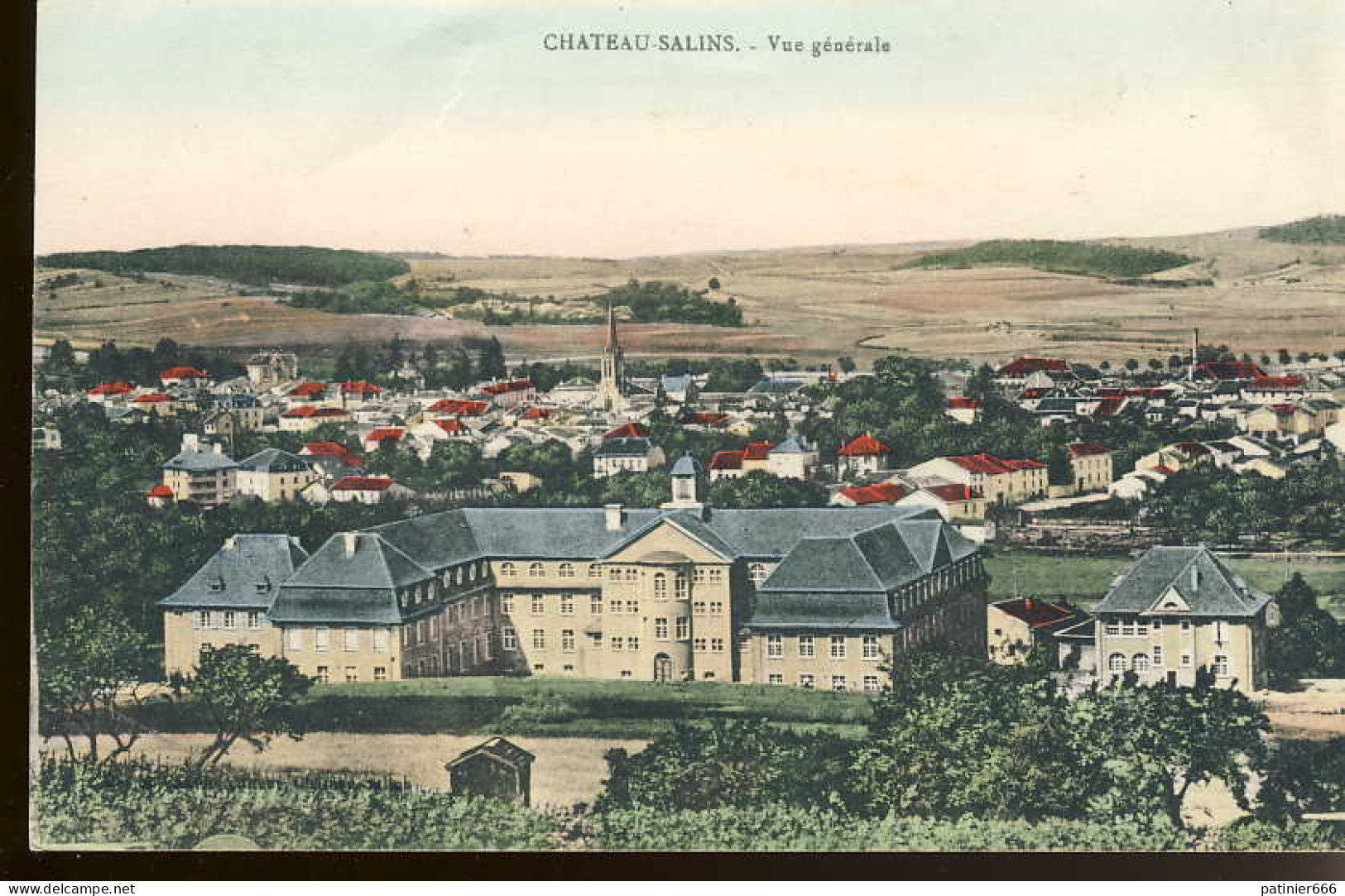 Chateau Salins Vue Generale  - Chateau Salins