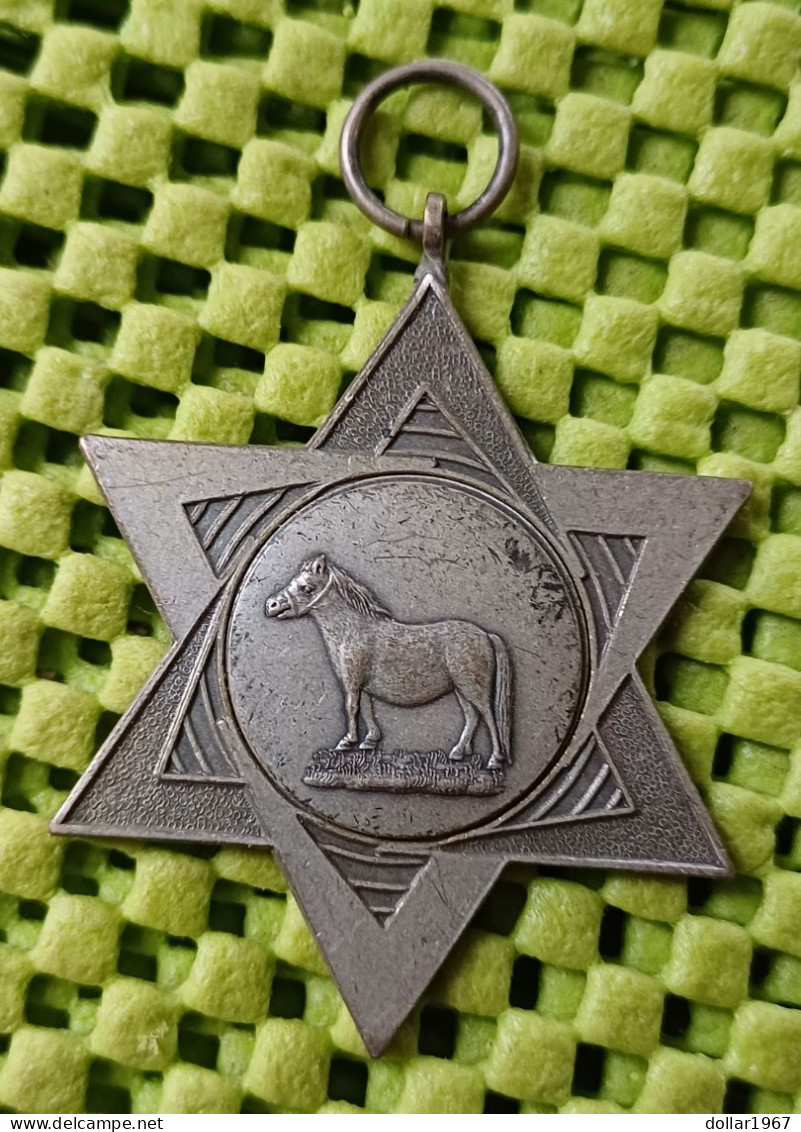 1 X Medaille - Paard , 4e. Prijs Drs. Albergen 10-7-1971  Nederland  -  Original Foto  !! - Equitation