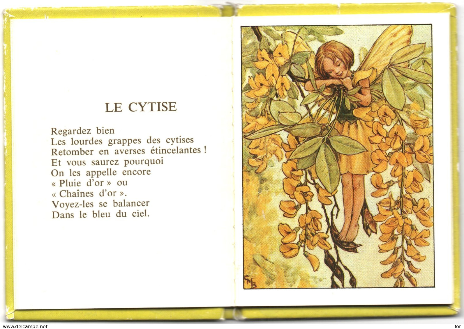 Contes : Bibliothèque Miniature : Rouge Et Or :  Fleurs En Fête Parfums : C. Mary Barker : Fleurs - Fées - Nymphes - Contes