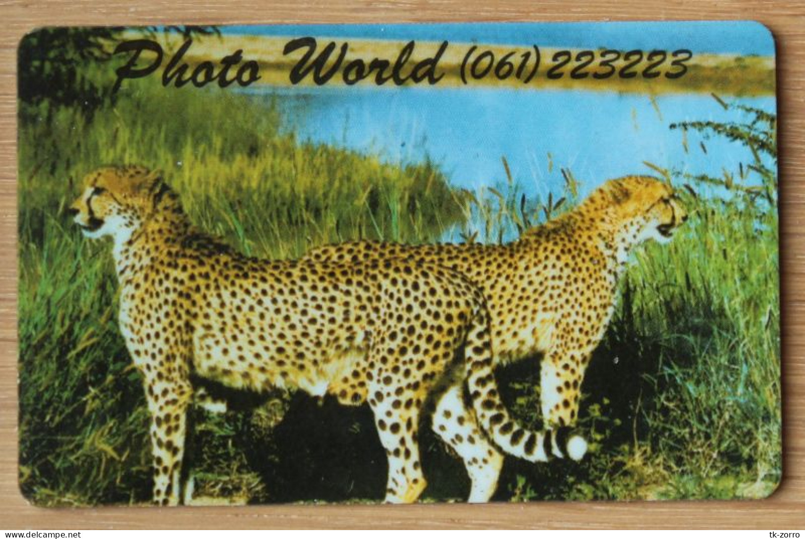 Rare Namibian Telecom Phonecard NMB11 Cheetah "Photo World" In Good Used Condition, Only For Collection Purpose - Namibia