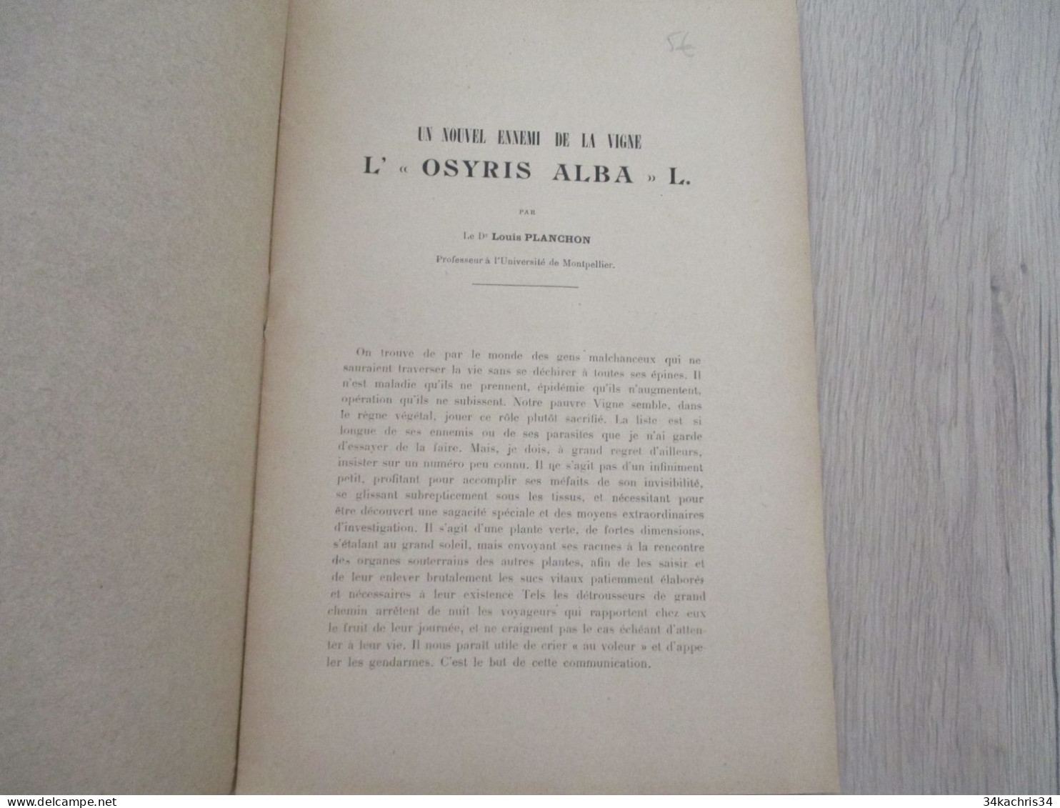 Vin Viticulture Archive Planchon Plaquette 13p U Nouvel Ennemi De La Vigne L'Osyris Alba L. Louis Planchon Montpellier - Sciences