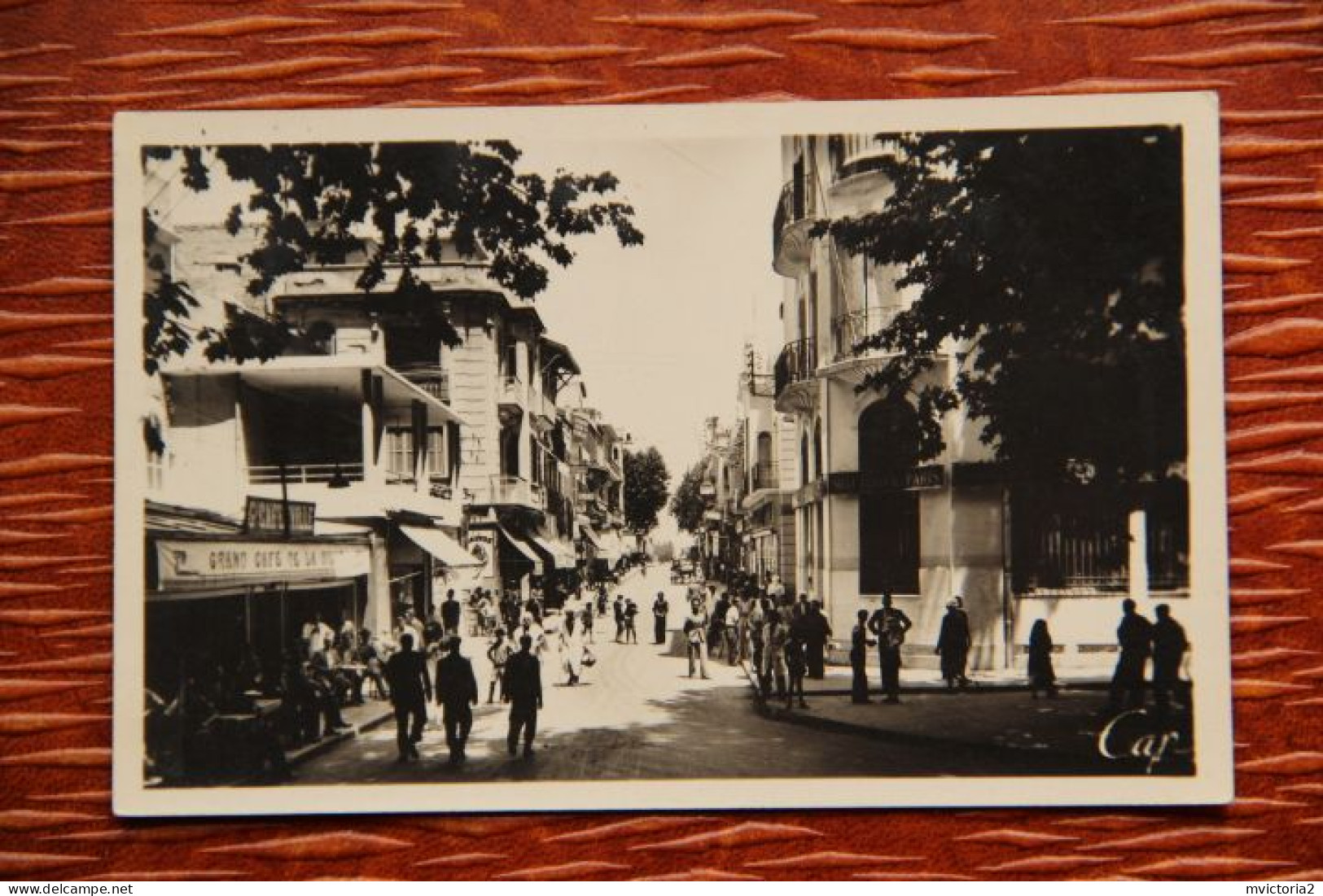 ALGERIE - TLEMCEN : Rue De FRANCE - Tlemcen