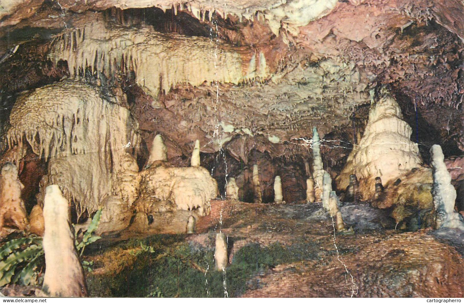 Postcard United Kingdom England Torquay Stalagmite Grotto Kent'scavern - Torquay