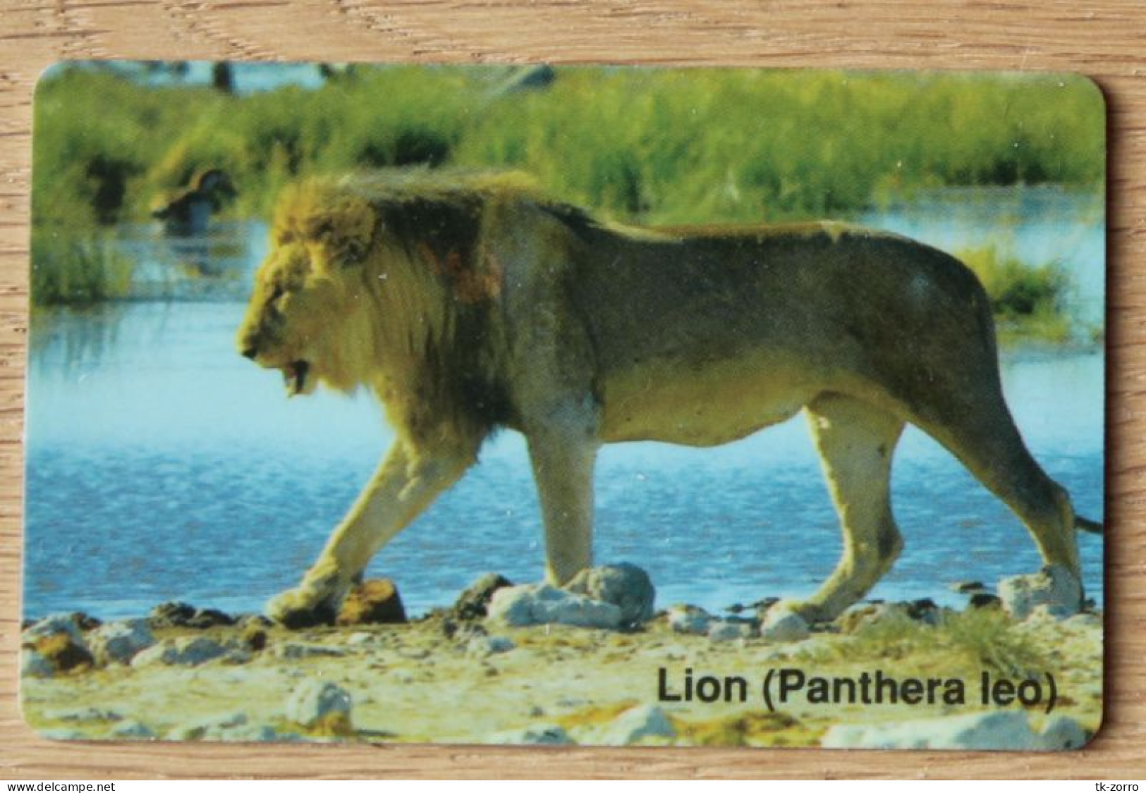 Namibian Telecom Phonecard NMB15 Lion Controlnumber With NAEIC In Good Used Condition, Only For Collection Purpose - Namibie