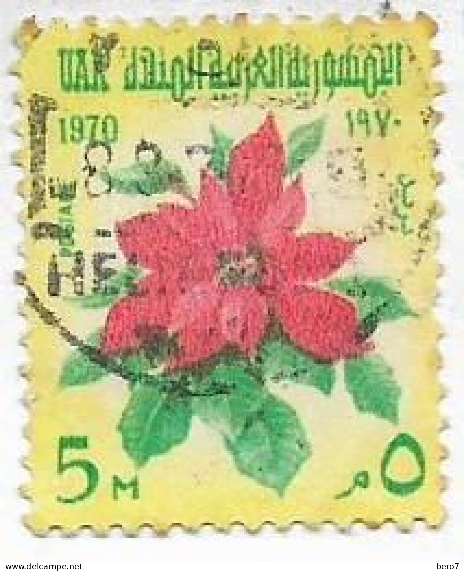 EGYPT - 1970 - Flower Poinsettia  (Egypte) (Egitto) (Ägypten) (Egipto) (Egypten) - Gebruikt