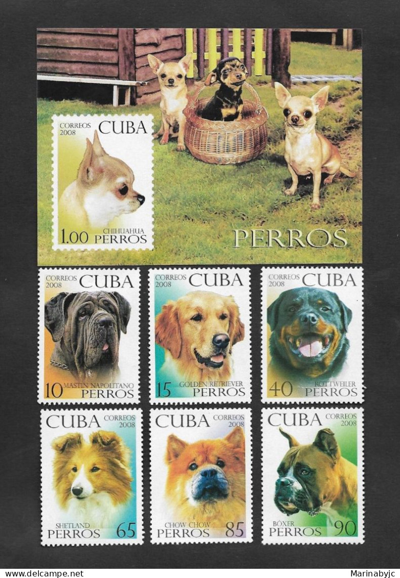 SD)2008 CUBA  SOUVENIR SHEET AND 6 STAMPS WITH DOG THEMES, CHIHUAHUA & NEAPOLITAN MASTIN, GOLDEN RETRIEVER, ROTTWEILER, - Other & Unclassified