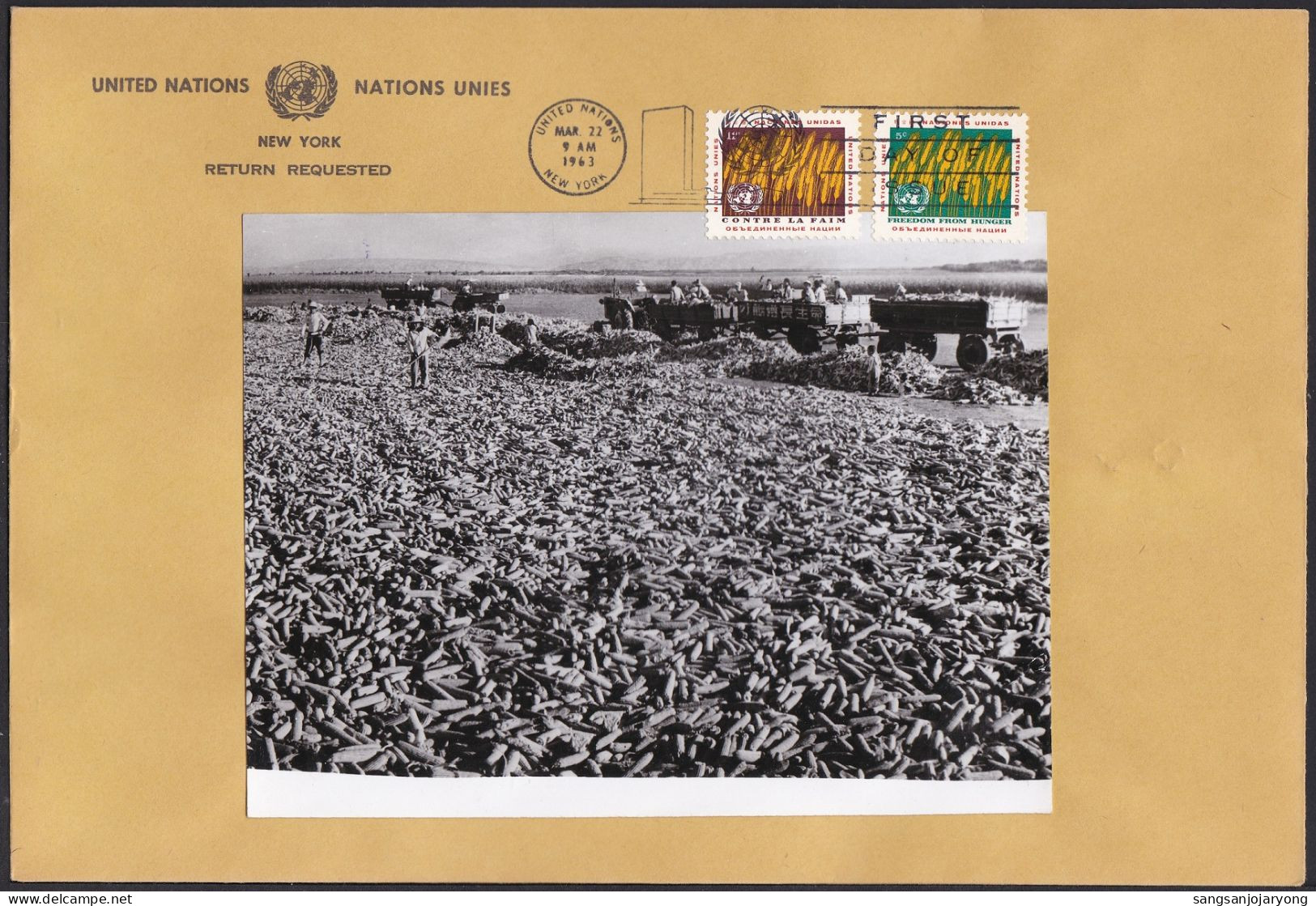 UN New York Sc116 FAO, Freedom From Hunger, Wheat, Photo Essay FDC 3, Essai - Against Starve