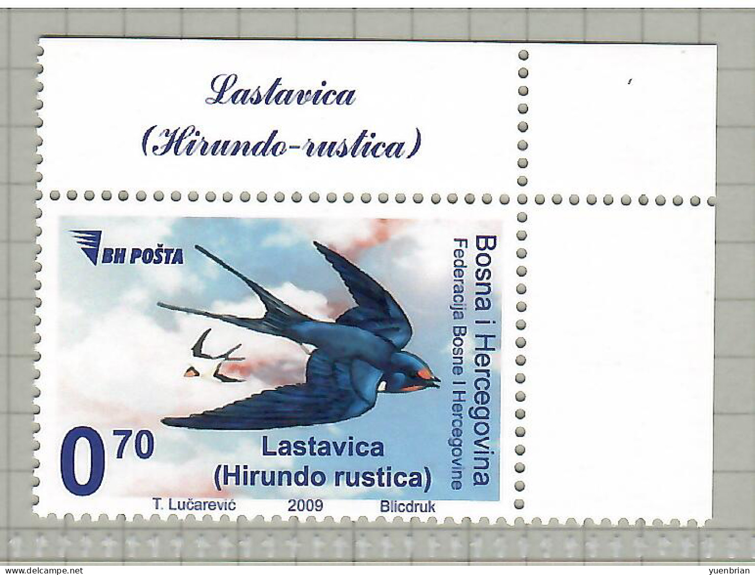 Bosnia Herzegovina, 2009, Bird, Birds, 1v, MNH** - Zwaluwen