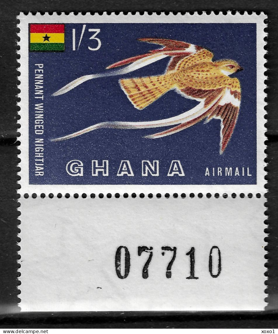 Ghana 1959 MiNr. 61  Birds  Standard-winged Nightjar (Macrodipteryx Longipennis) 1v MNH** 4.60 € - Kuckucke & Turakos