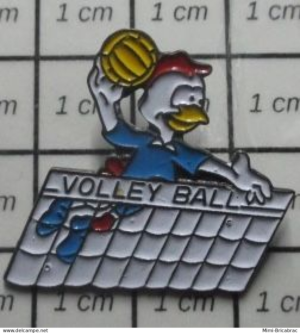 3022  Pin's Pins / Beau Et Rare / THEME : SPORTS / VOLLEY-BALL PETIT COQ TRICOLORE - Voleibol