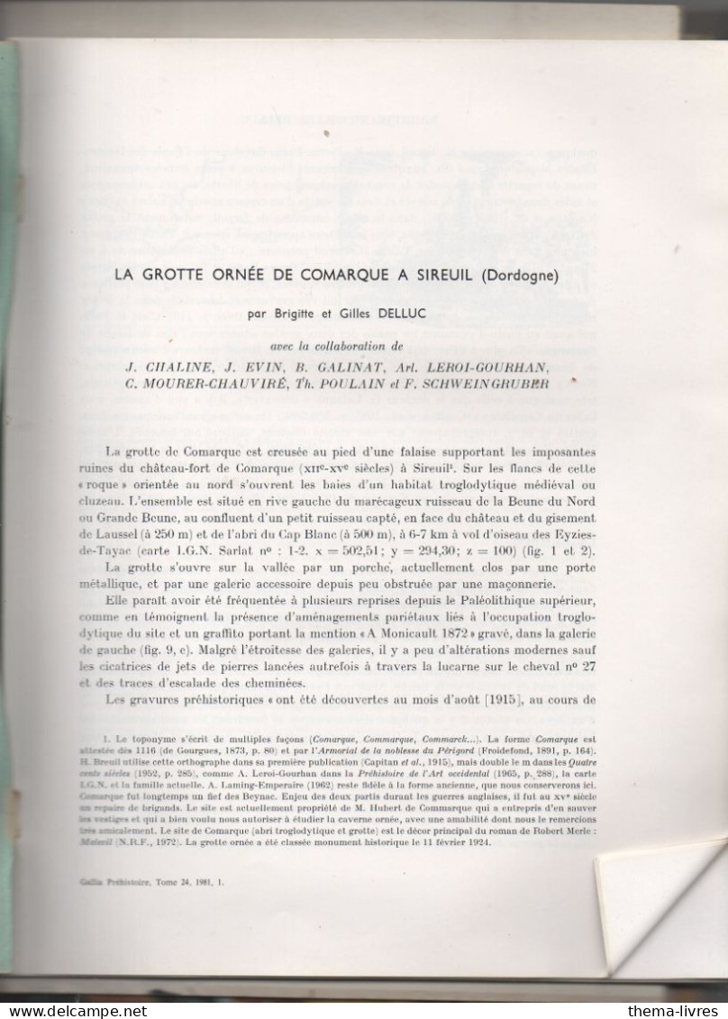 Sireuil (24 Dordogne)  La Grotte Ornée De Comarque     Gallia 1981  (CAT7030) - Archéologie