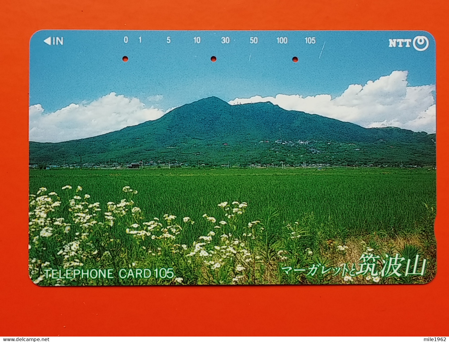 T-87- JAPAN -JAPON, NIPON, TELECARD, PHONECARD NTT JP- 250-247 - Japan