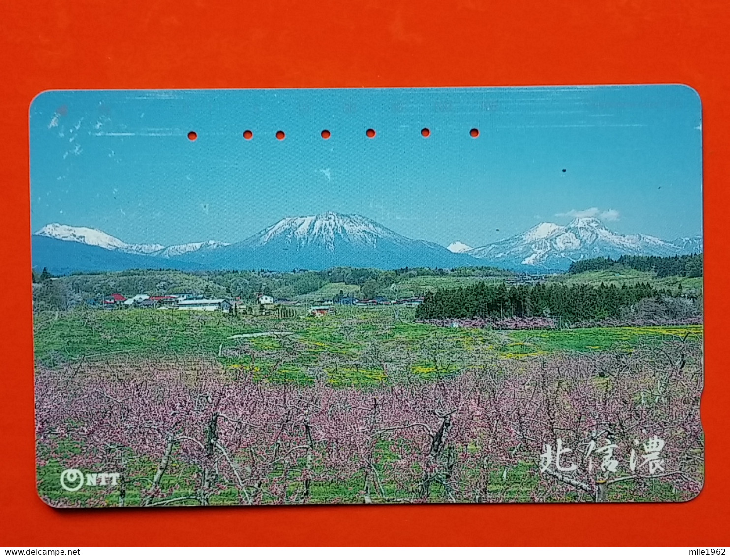 T-90- JAPAN -JAPON, NIPON, TELECARD, PHONECARD NTT JP- 271-246 - Japan