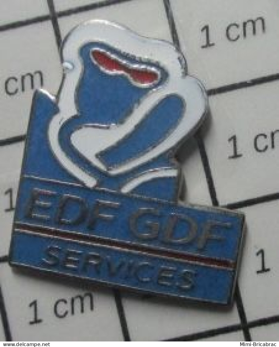 3022 Pin's Pins / Beau Et Rare / EDF GDF / SERVICES - EDF GDF
