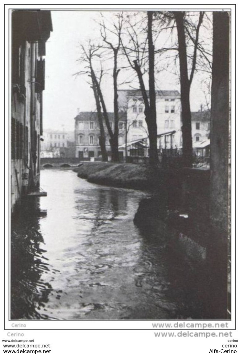 TREVISO:  PESCHERIA  -  FOTO  -  FG - Halles