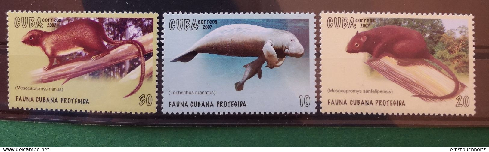Kuba 2007 Endangered Animals 6v** Davon 3v Säuger Im Angebot - Unused Stamps