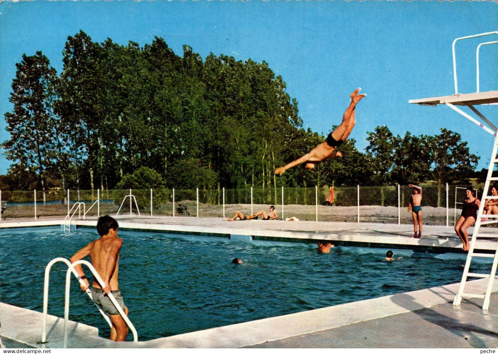 N°121406 -cpsm Aubigny Sur Nère -la Piscine- - High Diving