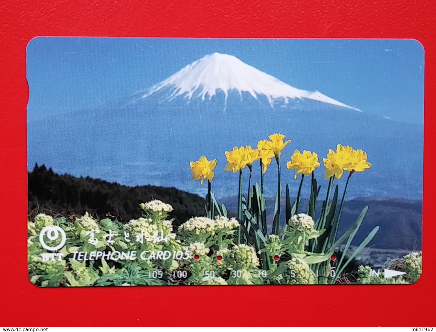 T-104 - JAPAN -JAPON, NIPON, TELECARD, PHONECARD NTT JP- 291-163 - Japon