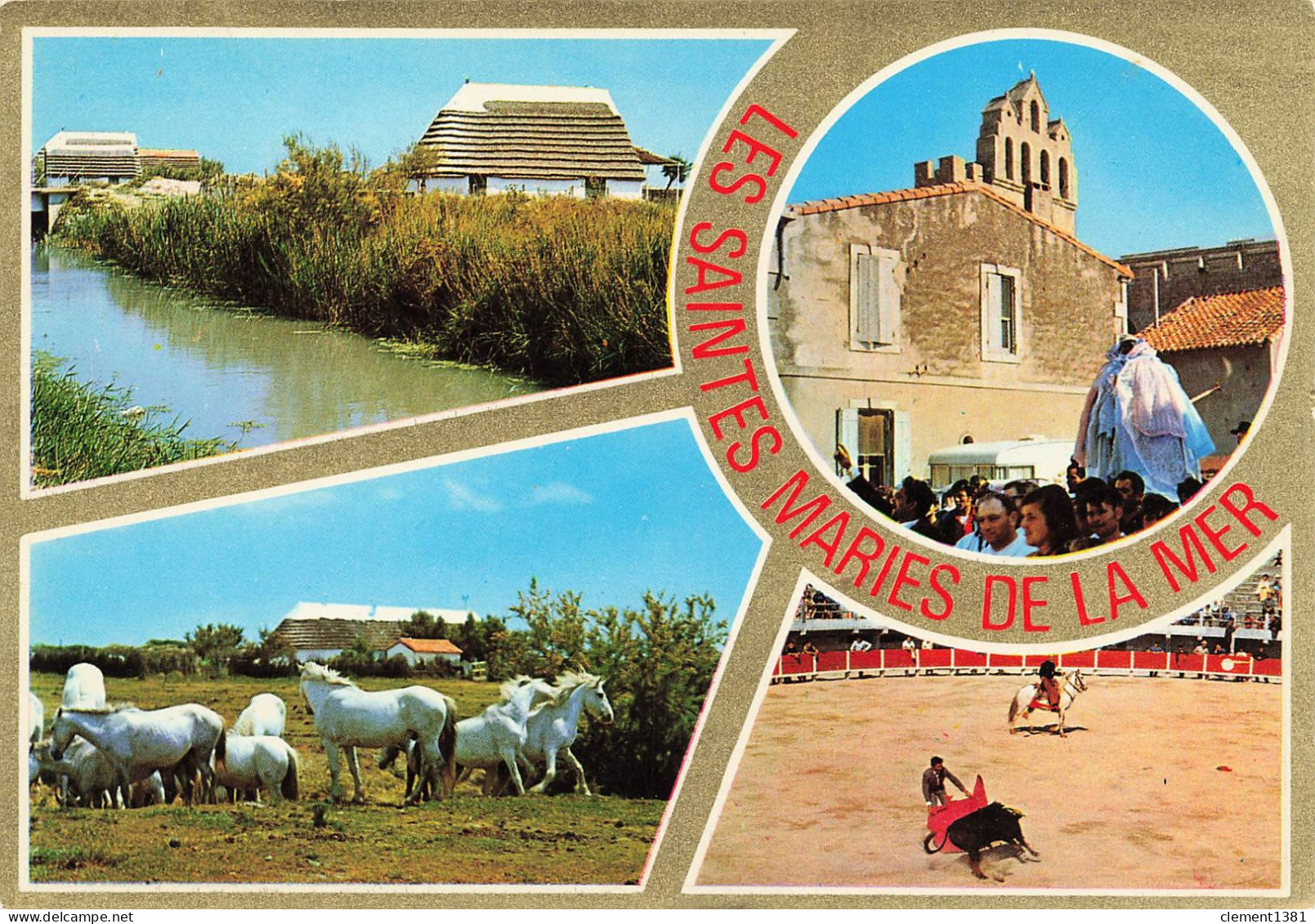 Cheval Chevaux Camargue Saintes Marie De La Mer Taureau Corrida - Chevaux