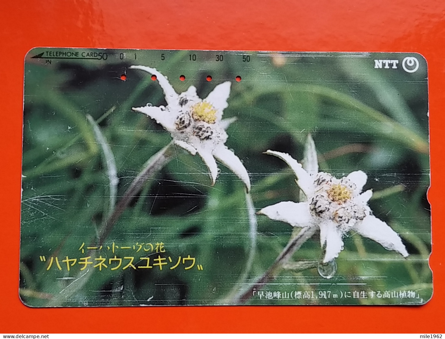 T-107 - JAPAN -JAPON, NIPON, TELECARD, PHONECARD NTT JP- 411-206 - Japan