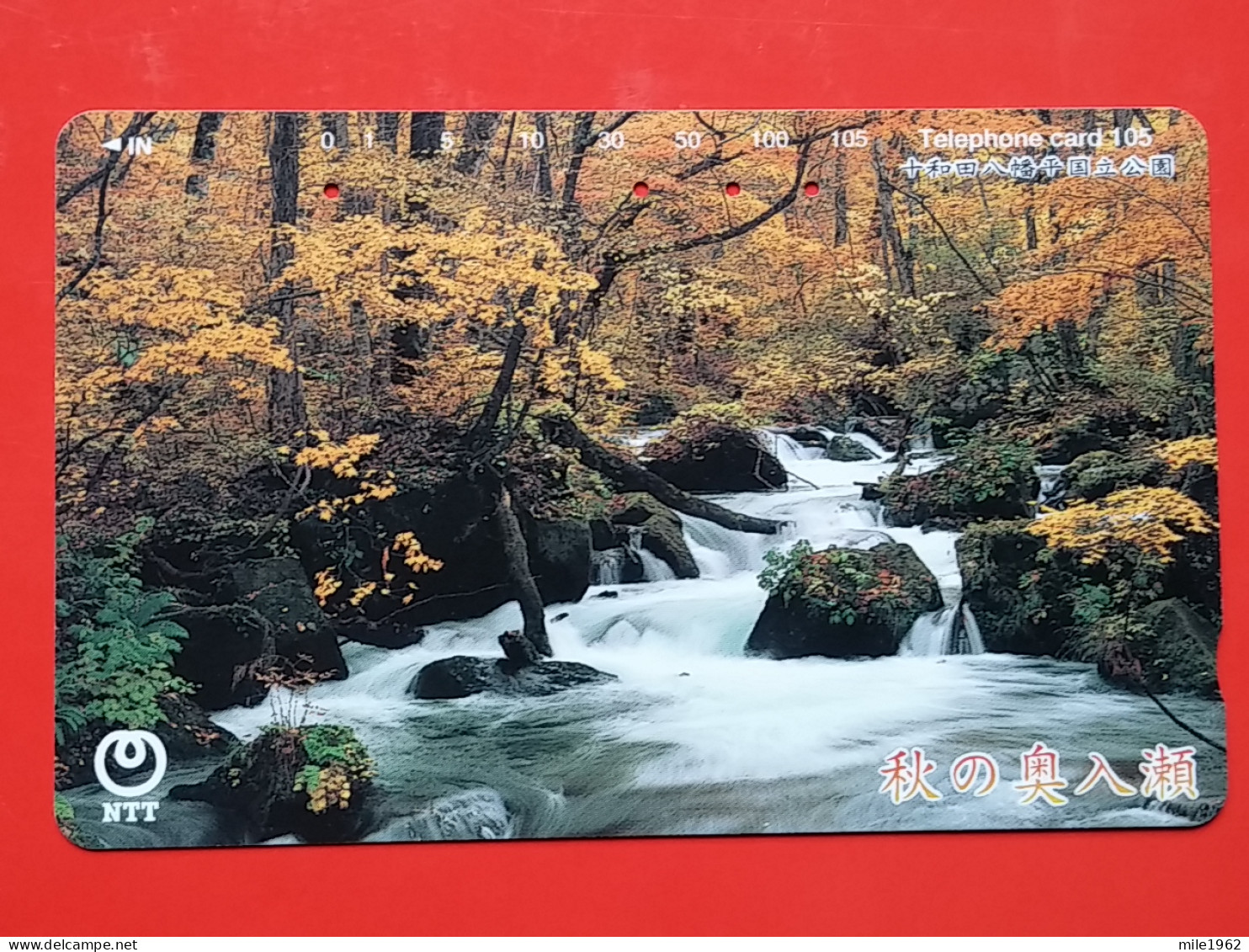 T-107 - JAPAN -JAPON, NIPON, TELECARD, PHONECARD NTT JP- 411-273 - Japon