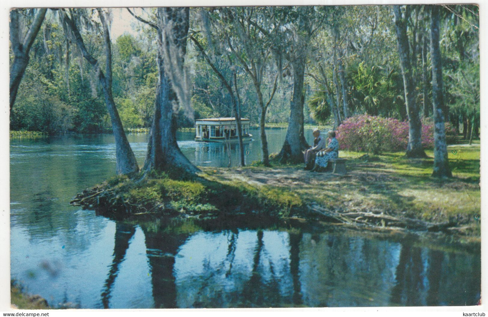 Along Silver River In Famous Silver Springs, Florida - (FL, USA) - Tourist-boat - Silver Springs