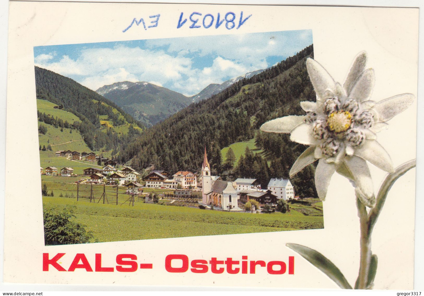E2585) KALS -  Osttirol - Präge Edelweiß Karte - - Kals