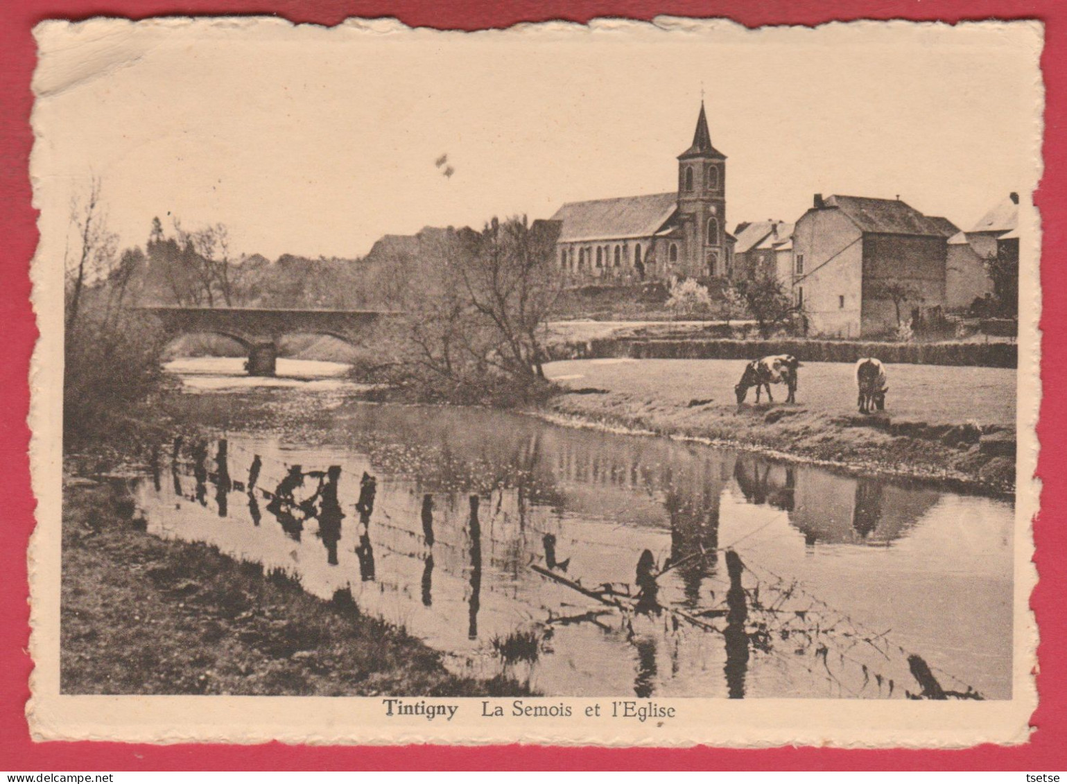 Tintigny - La Semois Et L'Eglise - 1951  ( Voir Verso ) - Tintigny