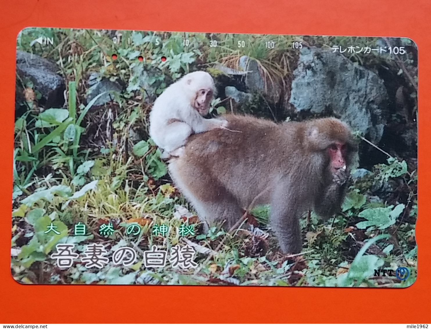 T-153 - JAPAN -JAPON, NIPON, TELECARD, PHONECARD, NTT JP 411-094. Monkey - Japon