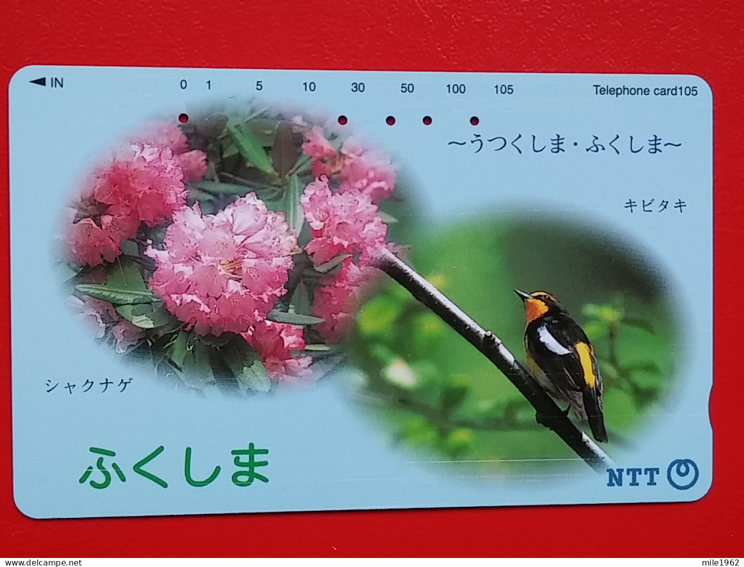 T-153 - JAPAN -JAPON, NIPON, TELECARD, PHONECARD, NTT JP 411-278, Bird, Oiseau - Japon