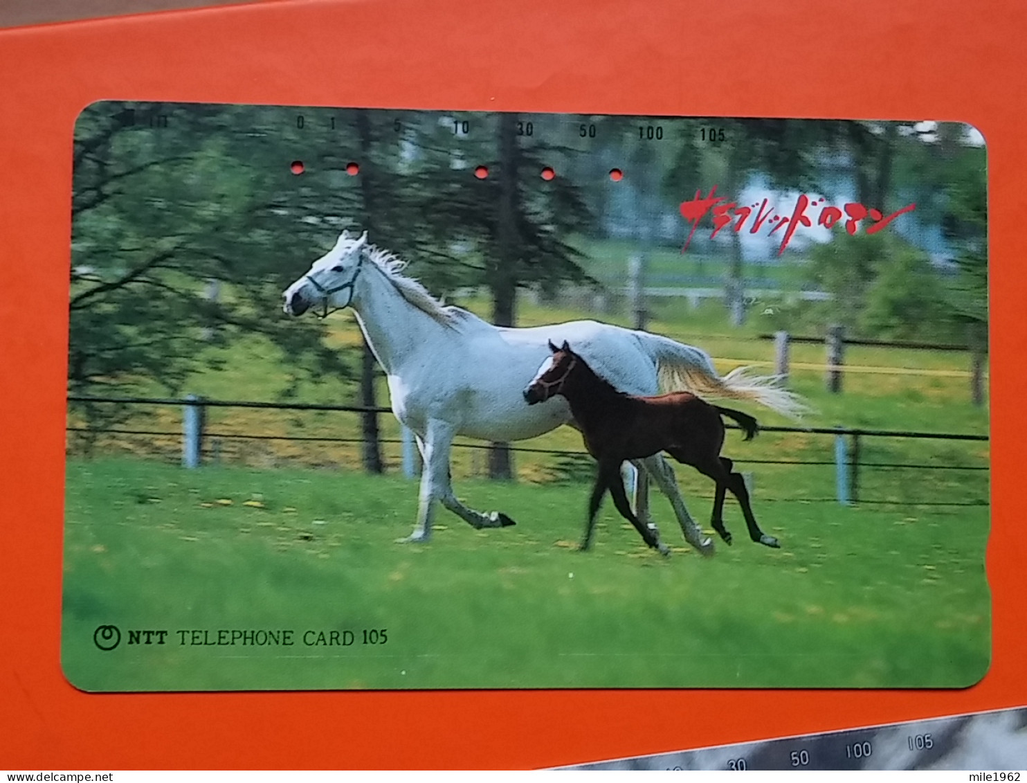 T-153 - JAPAN -JAPON, NIPON, TELECARD, PHONECARD, NTT JP 430-216 - Horse, Cheval - Japon