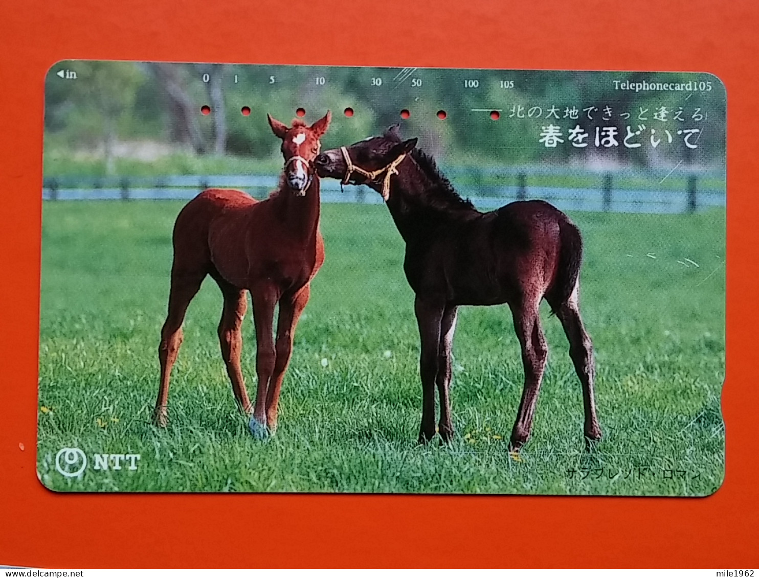 T-153 - JAPAN -JAPON, NIPON, TELECARD, PHONECARD, NTT JP 431-819 - Horse, Cheval - Japon