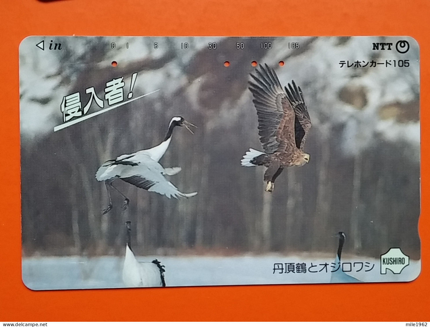 T-153 - JAPAN -JAPON, NIPON, TELECARD, PHONECARD, NTT JP 431-801 - Bird, Oiseau - Japon