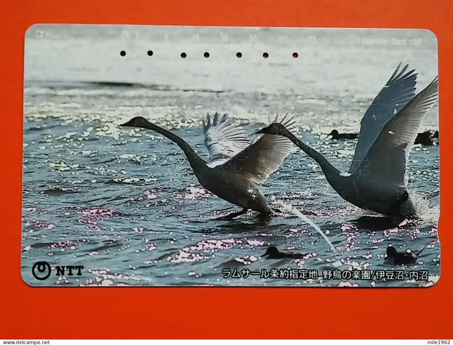 T-153 - JAPAN -JAPON, NIPON, TELECARD, PHONECARD, NTT JP 411-215, Swan, Bird, Oiseau - Japon