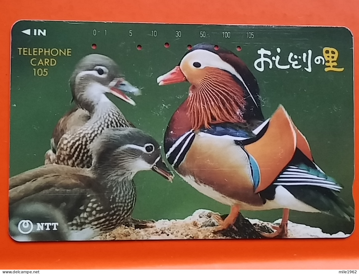 T-154 - JAPAN -JAPON, NIPON, TELECARD, PHONECARD, NTT JP 291-189, Bird, Oiseau - Japon