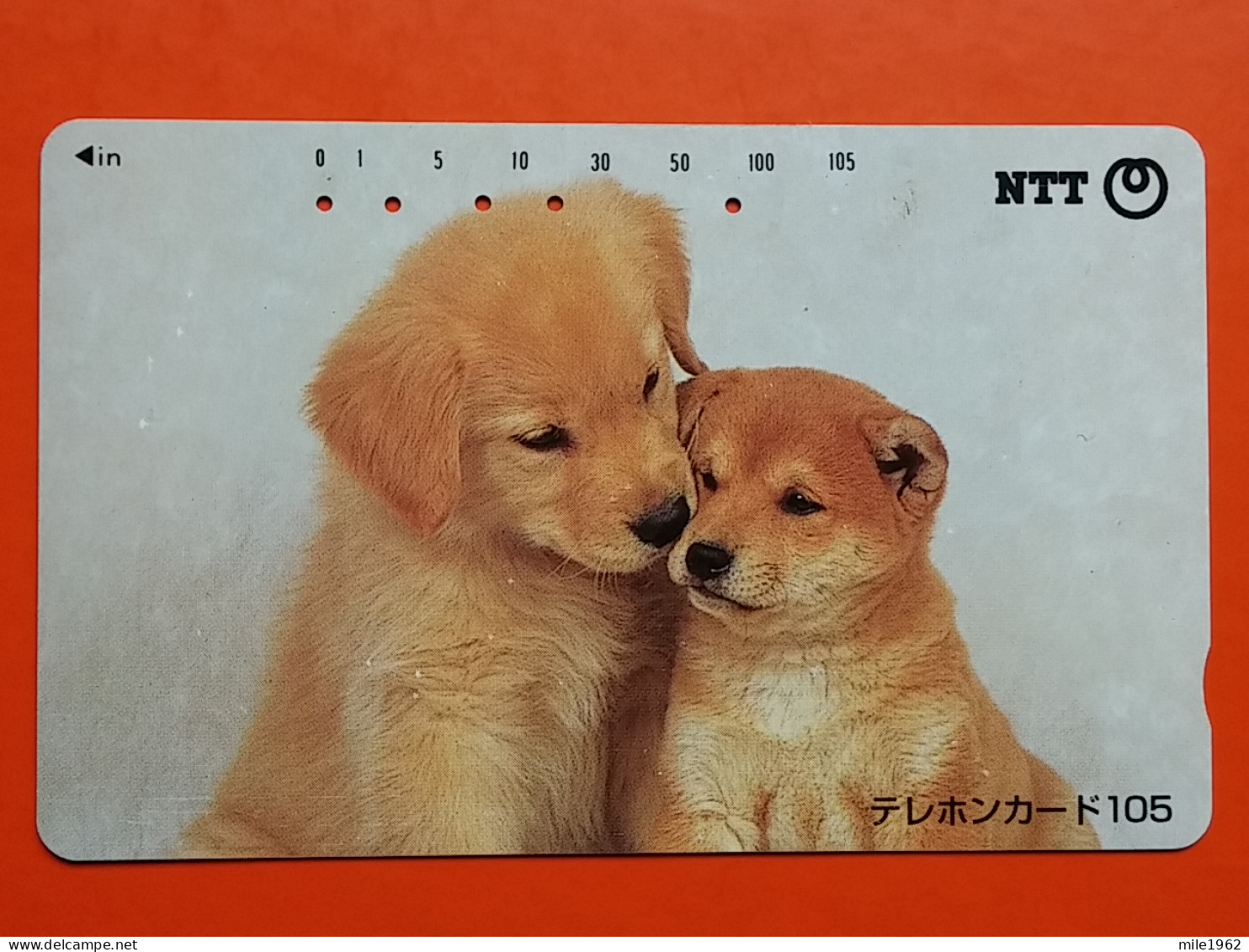 T-156 - JAPAN -JAPON, NIPON, TELECARD, PHONECARD, NTT JP 111-086 Dog, Chien, Hund - Japon