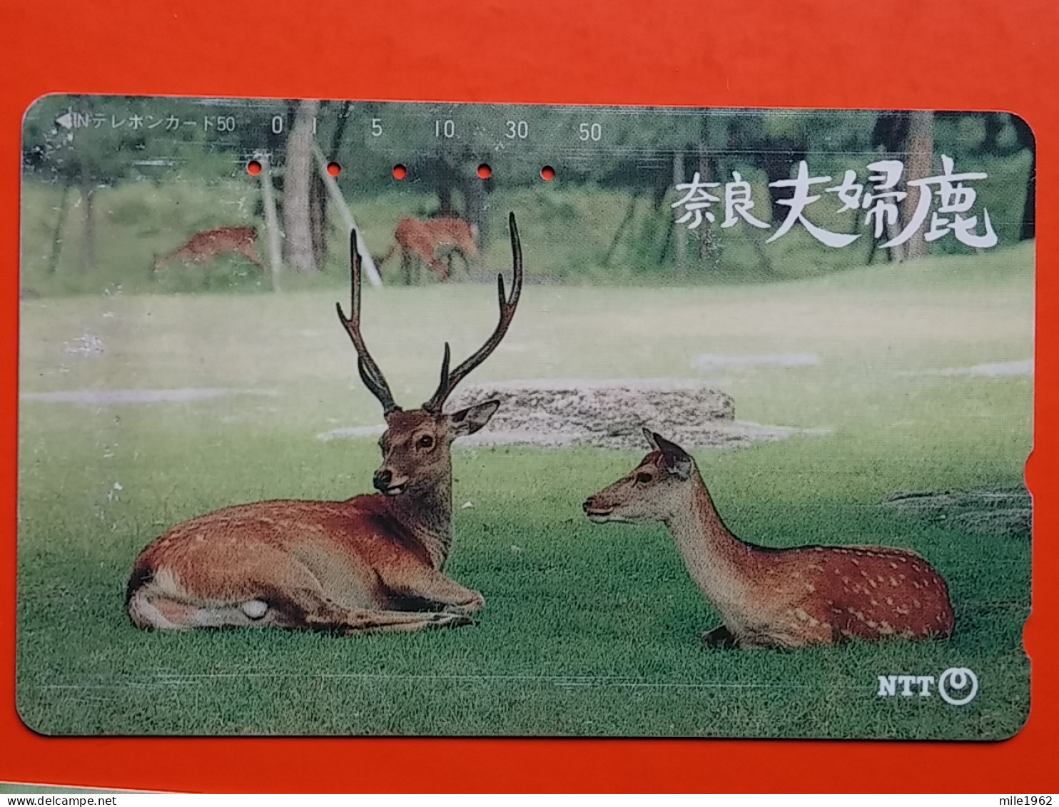 T-157 - JAPAN -JAPON, NIPON, TELECARD, PHONECARD, NTT JP 331-376 Deer - Japan