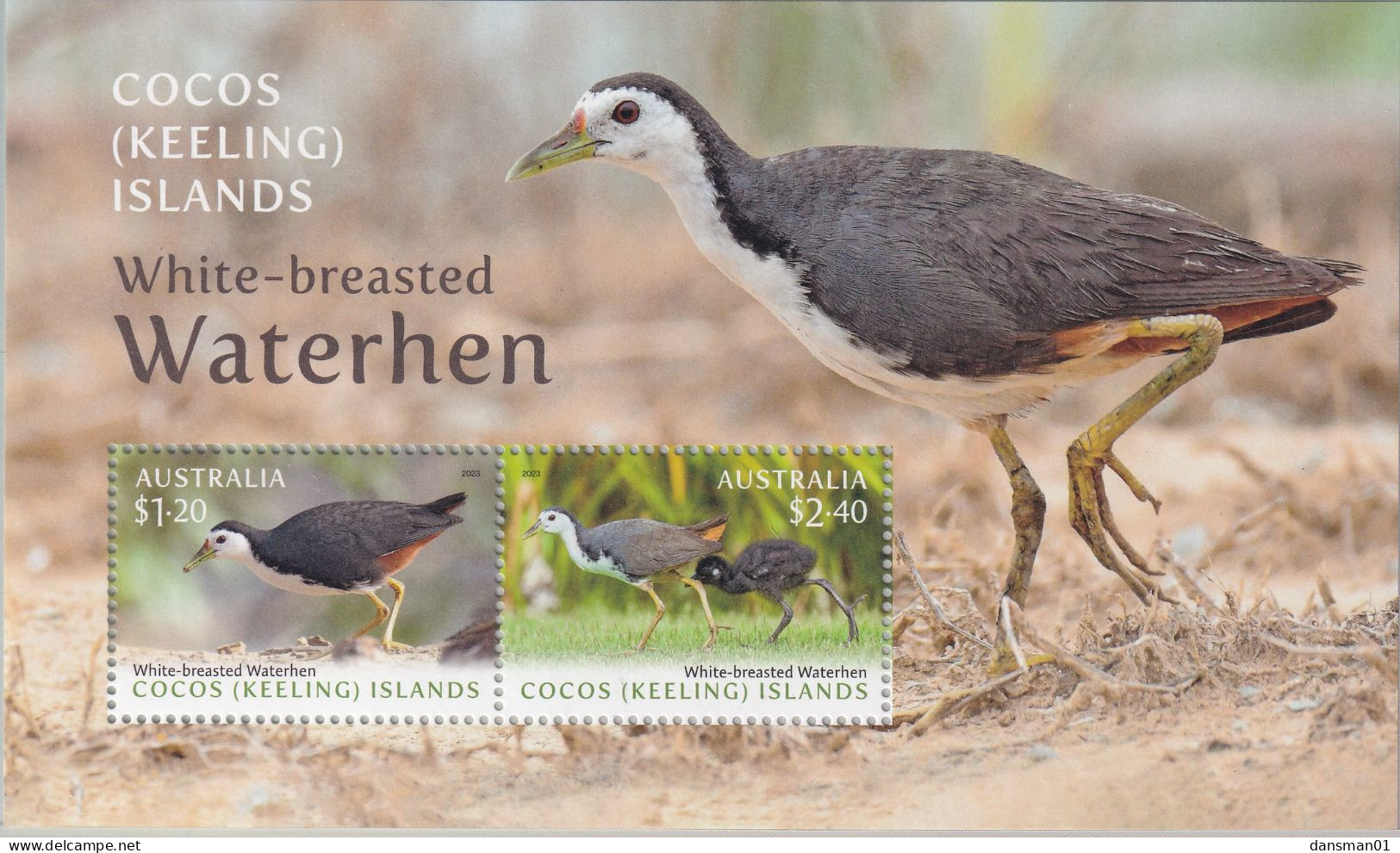 Cocos (Keeling) Islands 2023 Waterhen M/S Mint Never Hinged - Kokosinseln (Keeling Islands)