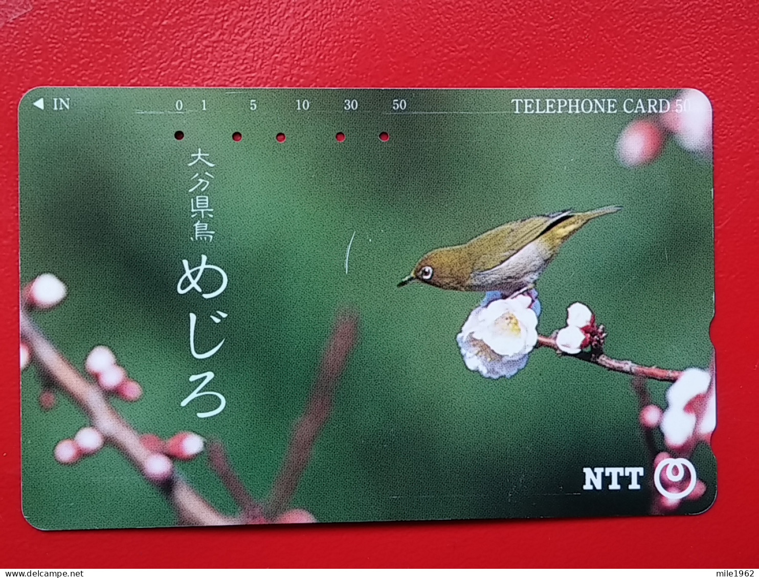 T-158 - JAPAN -JAPON, NIPON, TELECARD, PHONECARD, NTT JP 391-162 Bird, Oiseau,  - Japan