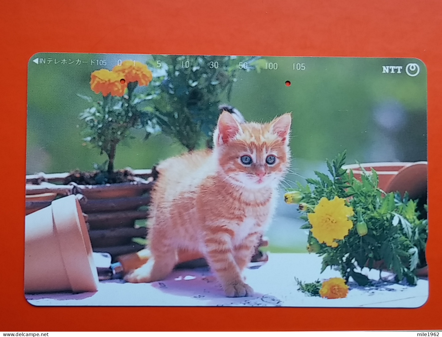 T-160 - JAPAN -JAPON, NIPON, TELECARD, PHONECARD, Animal, Cat, Chat, Katze NTT JP 231-201 - Japan