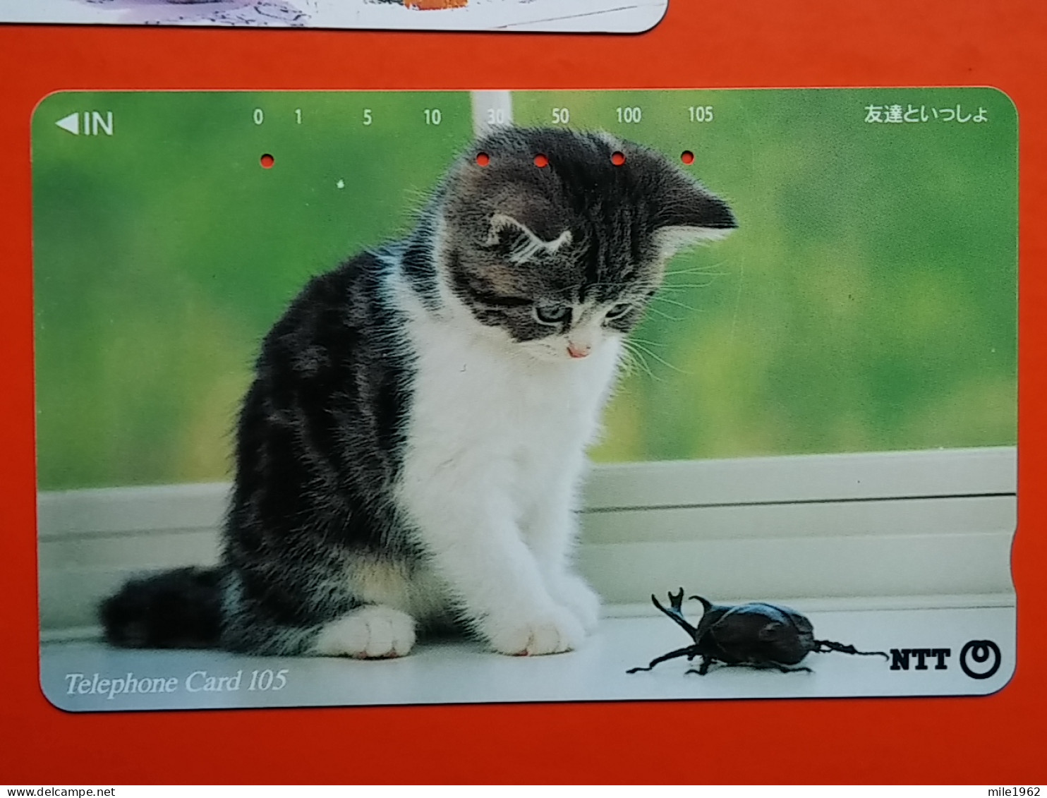 T-160 - JAPAN -JAPON, NIPON, TELECARD, PHONECARD, Animal, Cat, Chat, Katze NTT JP 111-066 - Japan