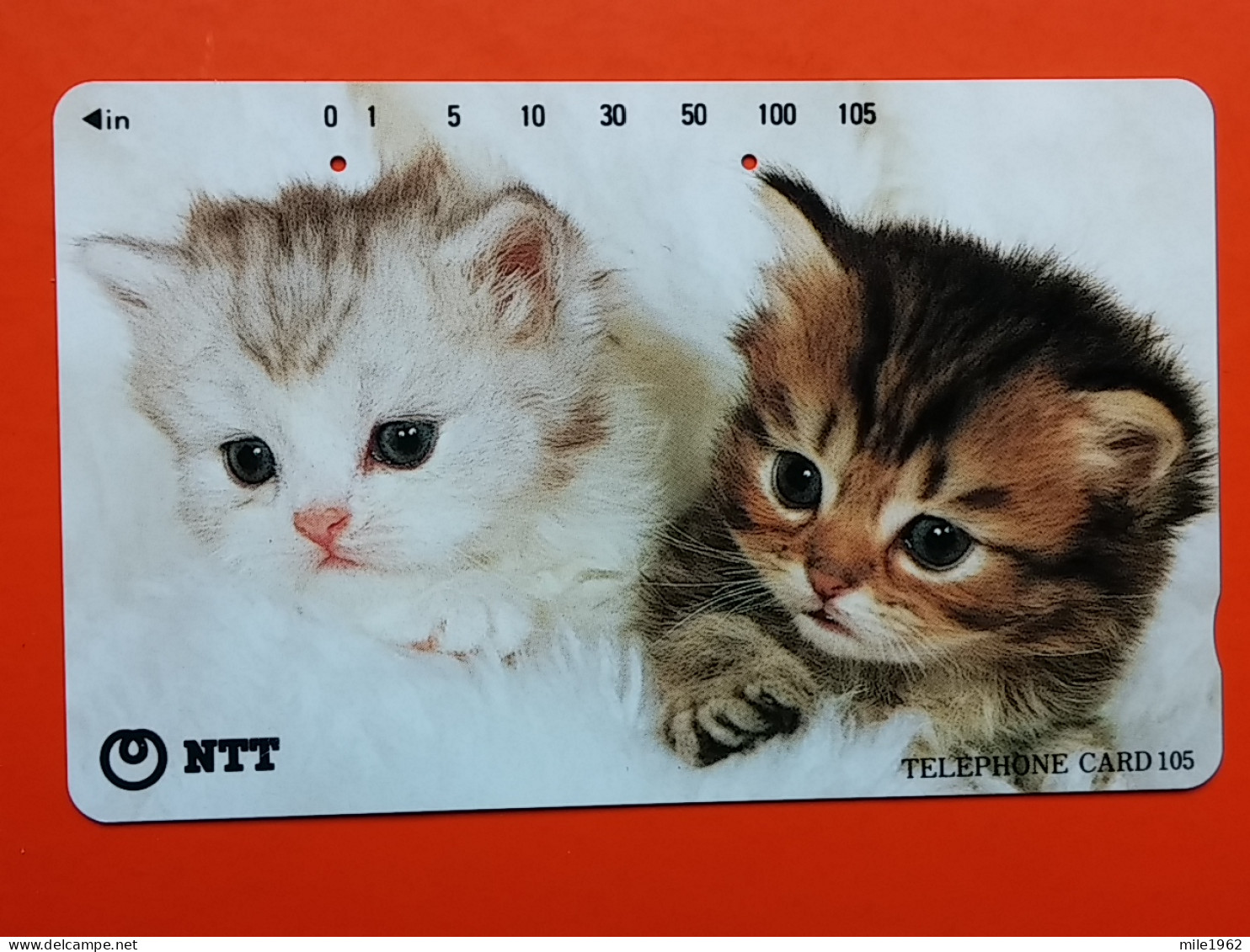 T-160 - JAPAN -JAPON, NIPON, TELECARD, PHONECARD, Animal, Cat, Chat, Katze NTT JP 111-083 - Japan